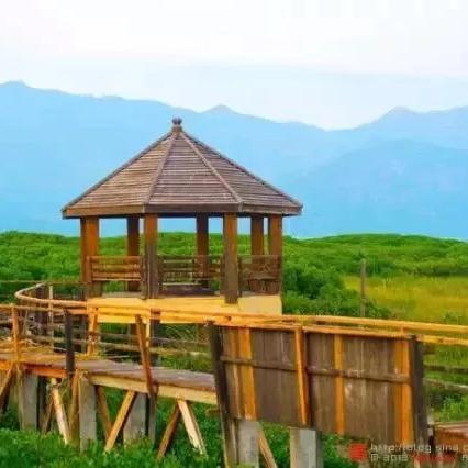 红色热土守护计划 第16页