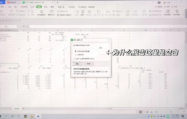 wps版本怎么看,灵活性计划实施_X版_v6.219
