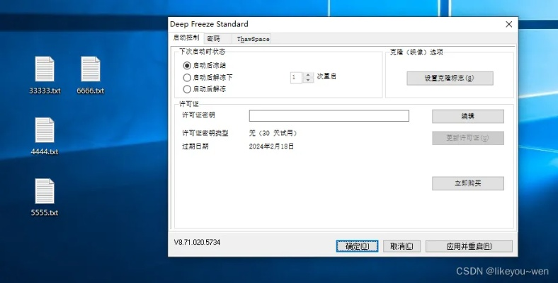 项目简介与历史,冰点还原精灵单机版与店铺激活码系统