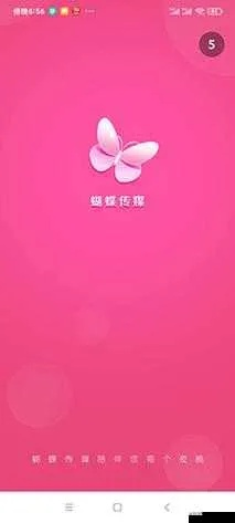 好玩社区官方下载或蝴蝶单机版下载,前沿说明评估_BT1_v8.132